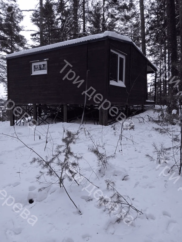 image-4